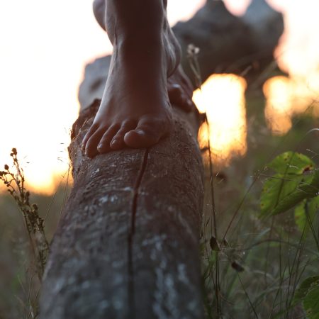 Irene van de Ven Irene van de Ven